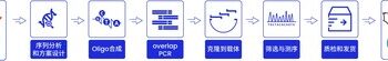 基因工厂云探秘系列4– 从PCR到基因组装：揭示合成关键步骤与精准验证
