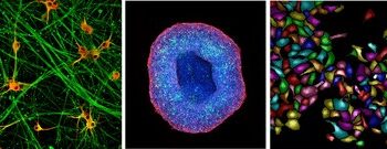 美谷分子重磅发布高内涵新品—-ImageXpress HCS.ai 智能高内涵成像分析系统