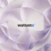 企业通过watsonx.ai 采用DeepSeek R1 蒸馏模型，可增强安全、治理和规模化部署能力