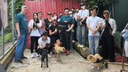 Vantage基金会志愿者为越南Laws for Paws收容犬只送去关爱与温暖