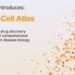 因美纳推出”十亿细胞图谱”，加速人工智能与药物发现