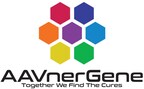 AAVnerGene发布下一代单质粒AAV生产平台AAVone®2.1,收获滴度高达约1e16 GC/L,完整衣壳率超70%