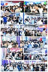 陆海联动 智汇青岛|AiLa Expo 2026第五届青岛国际物流博览会圆满落幕