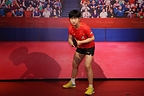 孙颖莎首尊蜡像正式入驻上海杜莎夫人蜡像馆