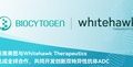百奥赛图与Whitehawk Therapeutics达成全球合作,共同开发创新双特异性抗体ADC