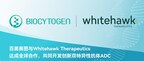 百奥赛图与Whitehawk Therapeutics达成全球合作,共同开发创新双特异性抗体ADC