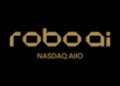 Robo.ai Inc. 宣布任命阿联酋金融机构Changer.ae 高级执行官 Wang Hao 先生为独立董事