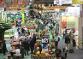 中国将参加 Fruit Attraction 2026—-全球领先的生鲜果蔬行业盛会之一