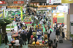 中国将参加 Fruit Attraction 2026—-全球领先的生鲜果蔬行业盛会之一