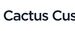 Cactus Custody Completes SOC 2 Type II Audit, Reinforcing Security Standards in Digital Asset Custody