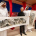 Celebrating 40 Years of UAE-China Friendship at ‘Building Bridges for the Future’ on Abu Dhabi’s Corniche