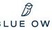 Blue Owl Capital Hires Algebris Investments’ Yoichi Nakamura to Lead Private Wealth in Japan