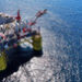 Shell starts production at Whale in the US Gulf of Mexico