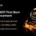 WEEX Completes First-Ever Burn $120 Million Worth of WXT, Reducing Supply by 40% — Could WXT Be the Next 100x Gem?