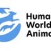 Animal charity Humane Society International Australia becomes ‘Humane World for Animals’ to better encompass mission and global presence