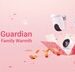 EZVIZ launches a special campaign to celebrate love and protection, ensuring that safety is never missed in any family moment
