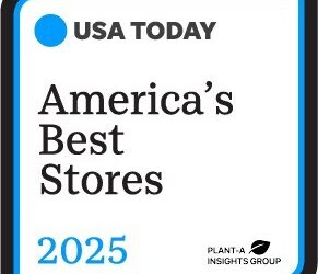 Temu Recognized in USA TODAY’s 2025 Best Stores List