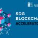 Blockchain for Good Alliance Launches Global Accelerator and Fund with UNDP