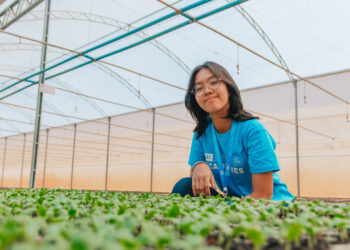 50 Scholarships for Young Changemakers in Australia & New Zealand