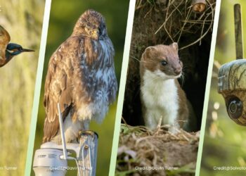 Reolink Earth Day 2025: Partnering with NGOs to Drive Global Conservation