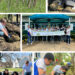 DSC® Celebrates Earth Day With Tree Planting Participated by Nearly 1,000 Global Employees and Sustainable Material Innovation