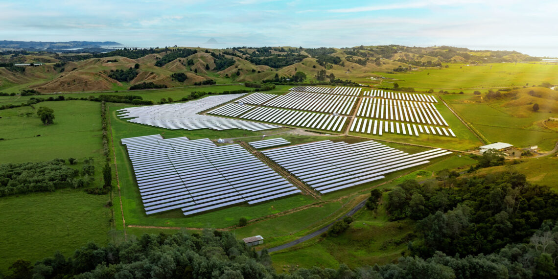 Trinasolar and Lodestone Power Up Newest Agrivoltaics Solar Project in New Zealand