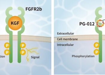 PeptiGrowth Inc. is Launching a Novel Synthetic Peptide: KGF alternative peptide (FGFR2b agonist)