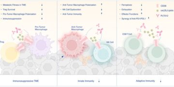 Pilatus Biosciences to Present Research on PLT012 at AACR 2025