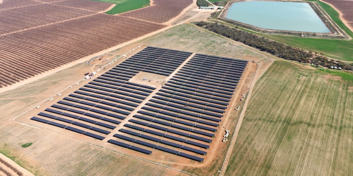 AGL and Risen Energy Empowers Australia’s First HJT Solar Farm at Canally