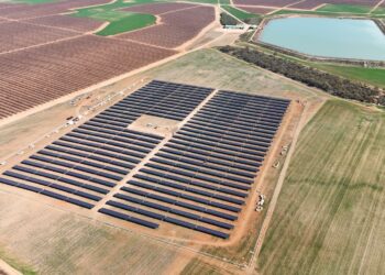 AGL and Risen Energy Empowers Australia’s First HJT Solar Farm at Canally