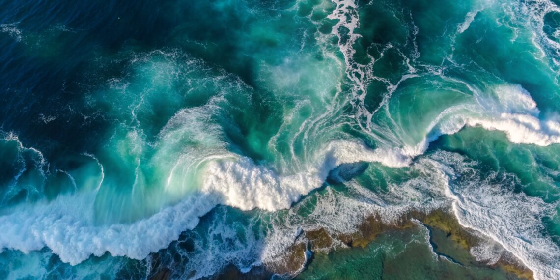 NOVOTEL CELEBRATES ONE YEAR OF OCEAN COMMITMENT AND SUSTAINABLE PARTNERSHIP WITH WWF