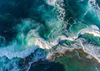 NOVOTEL CELEBRATES ONE YEAR OF OCEAN COMMITMENT AND SUSTAINABLE PARTNERSHIP WITH WWF