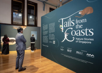 Singapore’s Treasured Natural History Drawings Debut at the Australian Museum