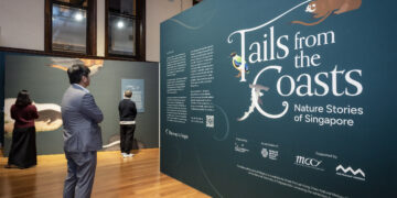 Singapore’s Treasured Natural History Drawings Debut at the Australian Museum
