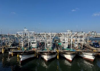 Asia-Pacific Marine Engine Leader Weichai Launches Premium WH17 Marine Power, Earning Recognition from Korean Customers