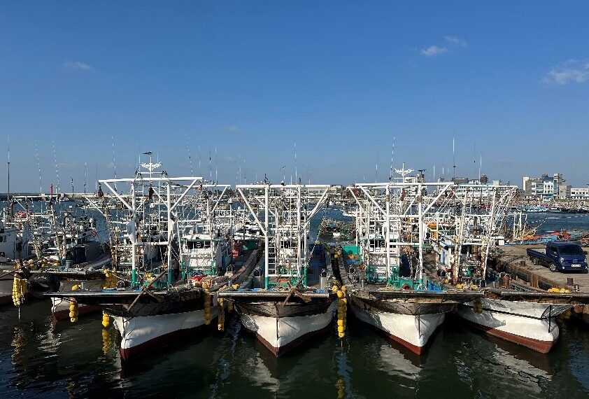 Asia-Pacific Marine Engine Leader Weichai Launches Premium WH17 Marine Power, Earning Recognition from Korean Customers