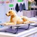 Canton Fair Chronicles a Decade of Growth in the Global Pet Economy