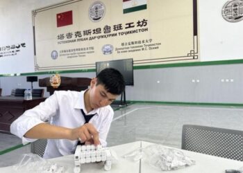 China-Central Asia cooperation grows deeper, more substantial