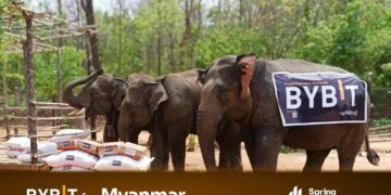 Bybit donates over $300,000 to support earthquake relief in Myanmar and Thailand