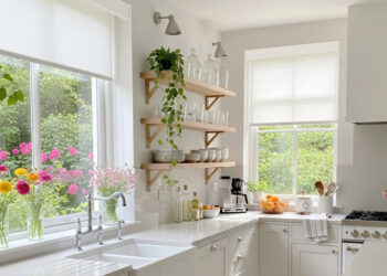 Bringnox Unveils Summer Window Shades as Passive Cooling Options for Heat Relief and Energy Savings