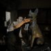 Renowned Artist Yuan Xikun Honors Heroic Narcotics Detection Dog with Sculpture for International Day Against Drug Abuse and Illicit Trafficking