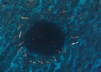 Melanesian Leaders Announce World’s Largest Indigenous-Led Marine Reserve