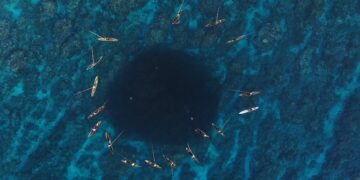 Melanesian Leaders Announce World’s Largest Indigenous-Led Marine Reserve