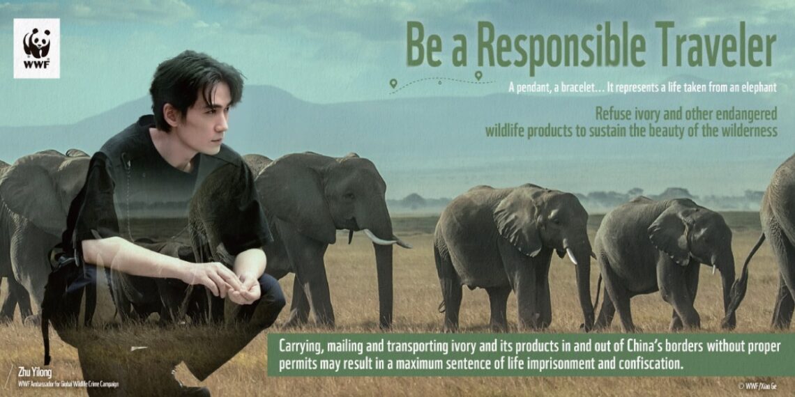 Sustainable travel is contributing to the fight against illegal wildlife trade for global biodiversity protection