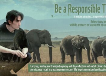 Sustainable travel is contributing to the fight against illegal wildlife trade for global biodiversity protection