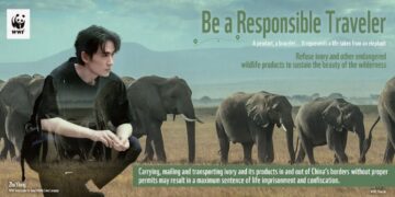 Sustainable travel is contributing to the fight against illegal wildlife trade for global biodiversity protection
