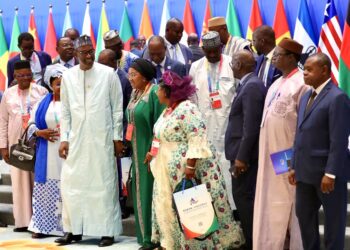 Hunan eyes progress in partnerships with Africa