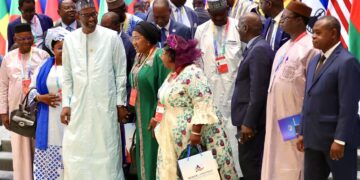 Hunan eyes progress in partnerships with Africa