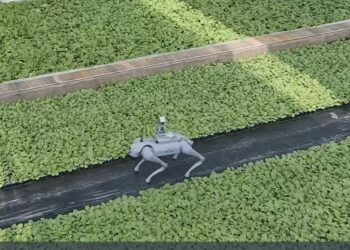 From Streets to Fields: Unitree’s Go2 Steps into Smart Farming