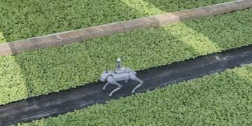 From Streets to Fields: Unitree’s Go2 Steps into Smart Farming